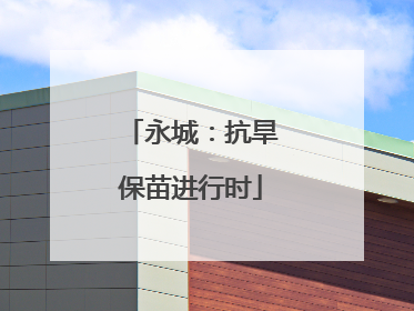永城：抗旱保苗进行时